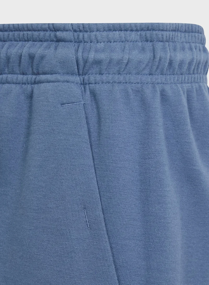 Adidas Future Icons Logo Shorts