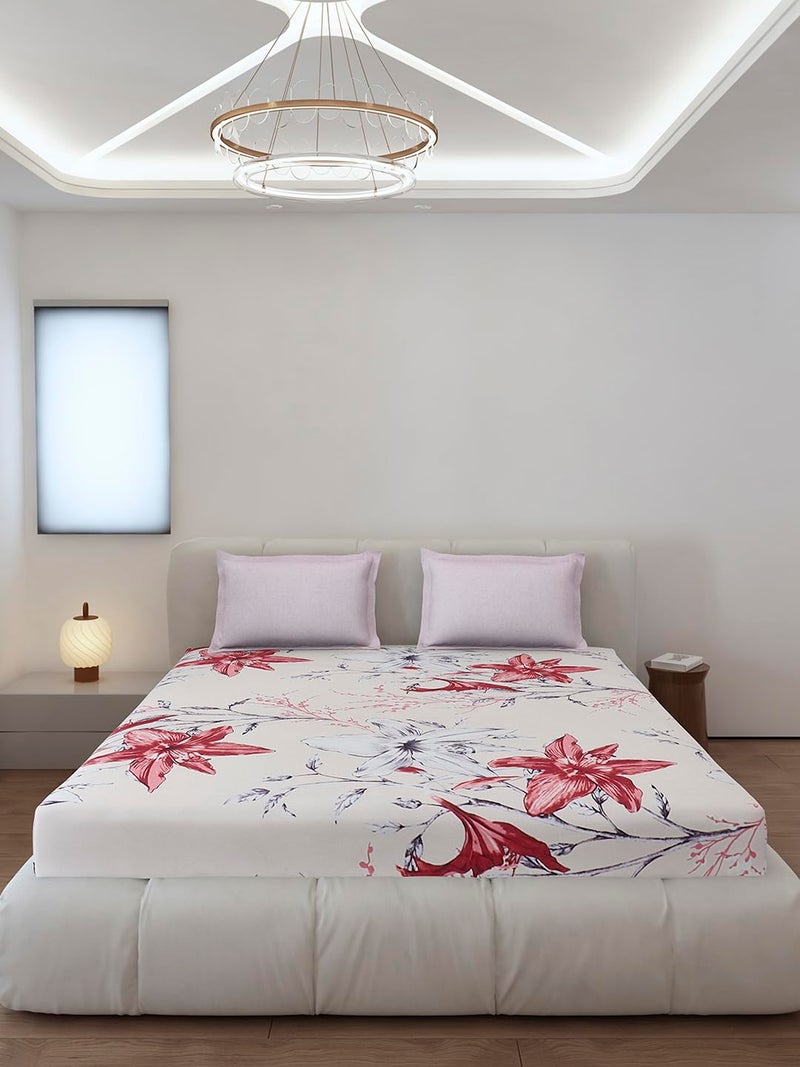 Monte Carlo Off White Printed King Size 130 GSM 1 Fitted Bedsheet with 2 Pillow Cover - Image 3