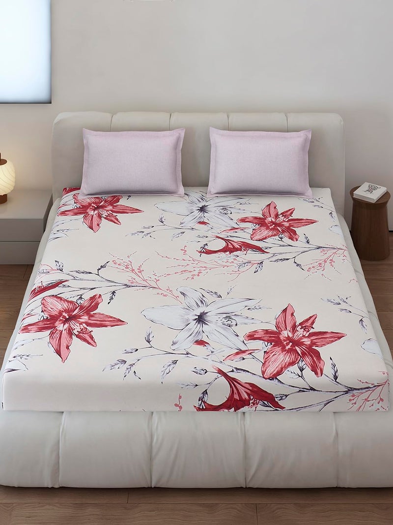 Monte Carlo Off White Printed King Size 130 GSM 1 Fitted Bedsheet with 2 Pillow Cover - Image 2