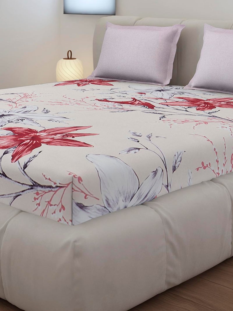 Monte Carlo Off White Printed King Size 130 GSM 1 Fitted Bedsheet with 2 Pillow Cover - Image 4