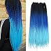 Beyond Beauty Ombre Box Braids Crochet Hair Crochet Braids Box Braiding Synthetic Hair Extension 24inch (5 packs/order) - Image 2