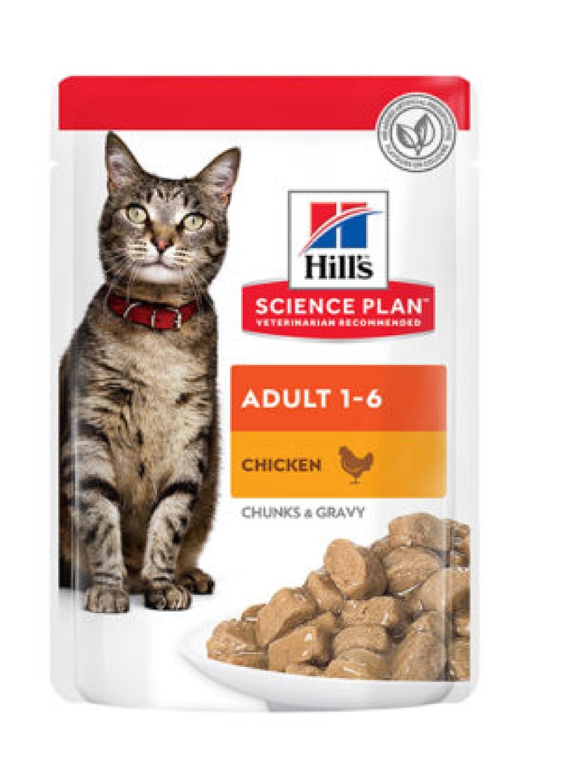 هيلز طعام القطط الرطبة هيلز ساينس بلان للبالغين بطعم الدجاج (12 × 85 جرام) - Image 2