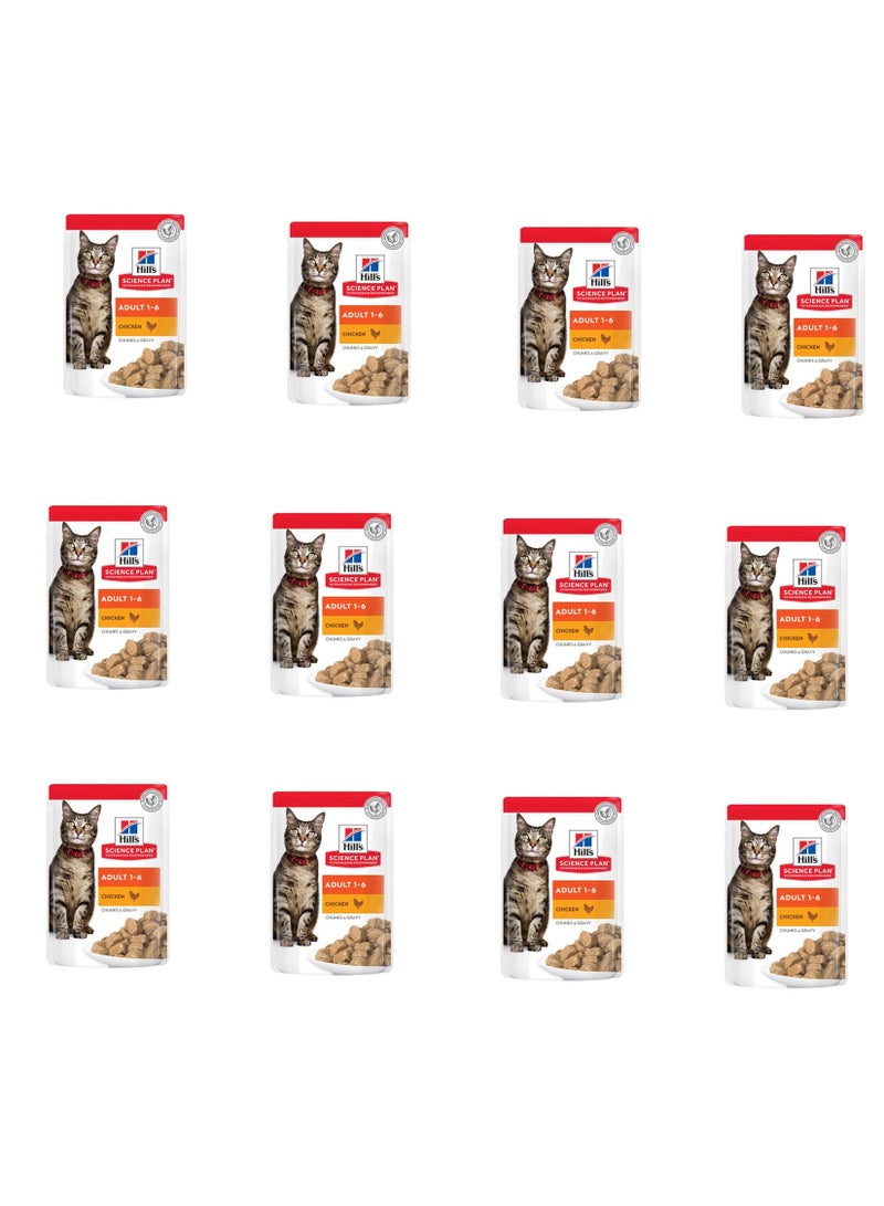 هيلز طعام القطط الرطبة هيلز ساينس بلان للبالغين بطعم الدجاج (12 × 85 جرام) - Image 1