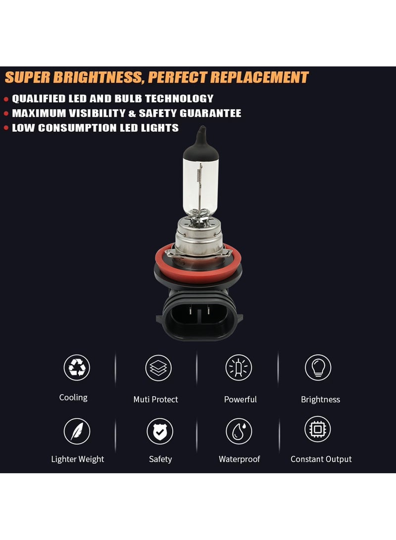 Loquat FEEMA Premium Halogen Bulbs High Quality Quartz Glass for Bright and Clear Light H11 12V, 55W 1PCS BL10765 - Image 4