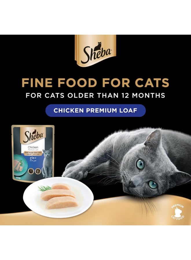 شيبا كيس طعام القطط الرطب الممتاز من شيبا، 70 جرام، وصفة لذيذة من الدجاج والسمك الأبيض، وجبة كاملة ومتوازنة للقطط البالغة - Image 2