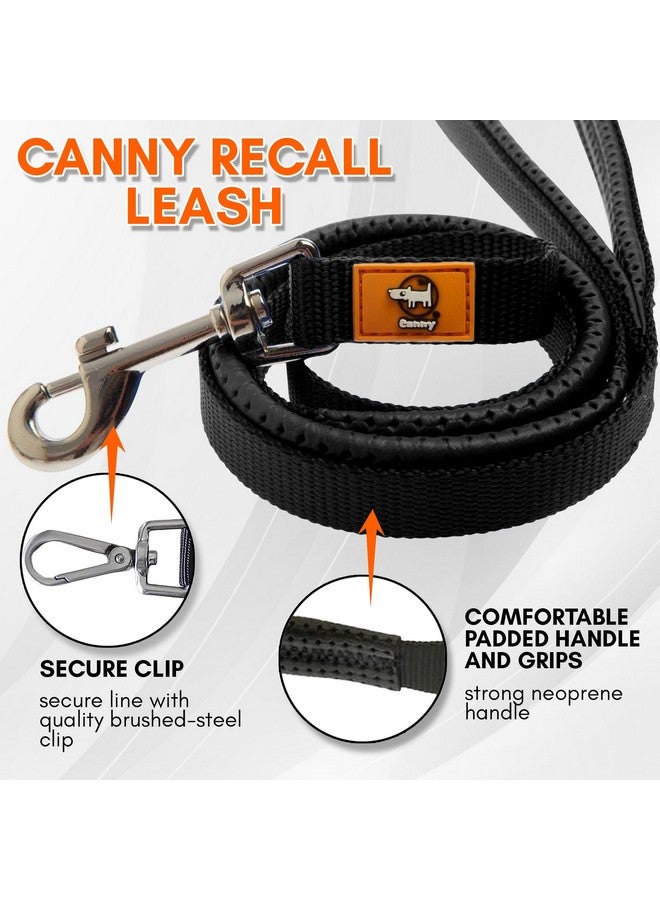كاني مقود تدريب الكلاب CANNY Recall - مقود طويل لتدريب الكلاب بطول 15 قدمًا، متين للغاية، للاستخدام في الفناء الخارجي للكلاب أو الجراء | العرض 5/8 بوصة، أسود - Image 3