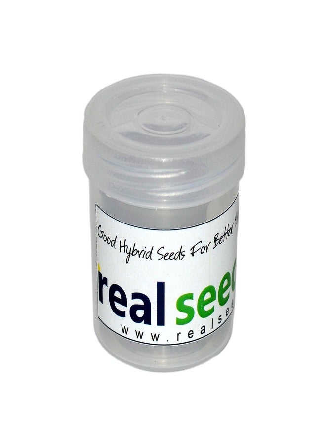 REAL SEED Sphatik Crystal Shivling (2.5x2.5x2.5cm) - Image 3
