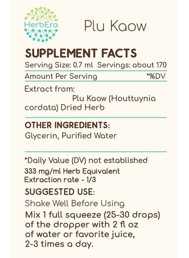 HerbEra Plu Kaow B120 Alcohol-Free Herbal Extract Tincture, Concentrated Liquid Drops Natural Wildcrafted Yu Xing Cao (Houttuynia Cordata) Dried Herb (4 fl oz) - Image 4