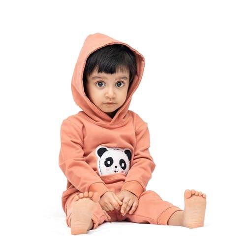 ARIEL Kids Cotton Fleece Full Sleeve Hoodie Sweatshirt & Sweatpant Clothing Set for Boys and Girls (TEDYPKT_12-18 month) - Image 3