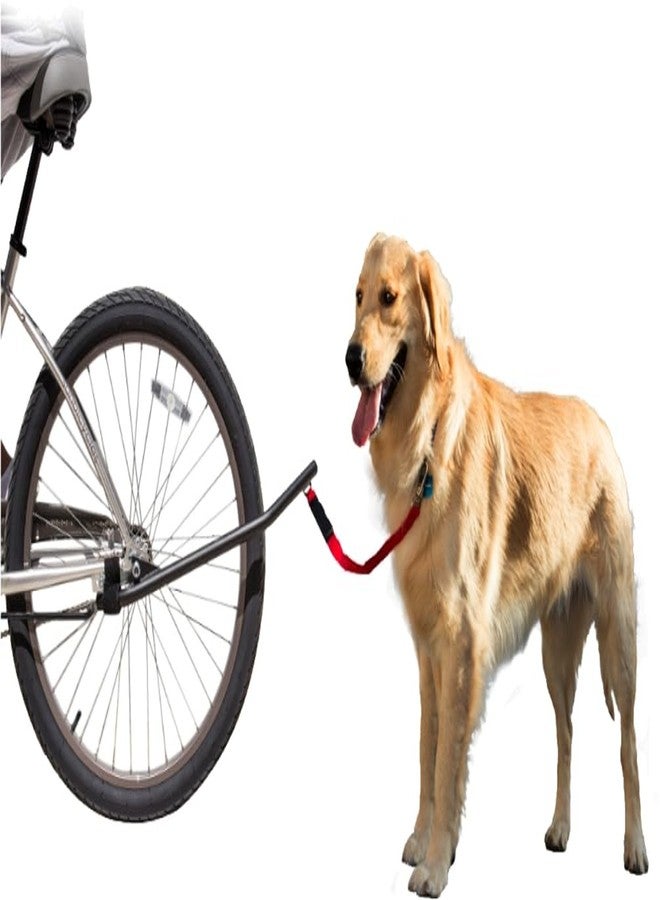 Sunlite Bicycle Dog Leash