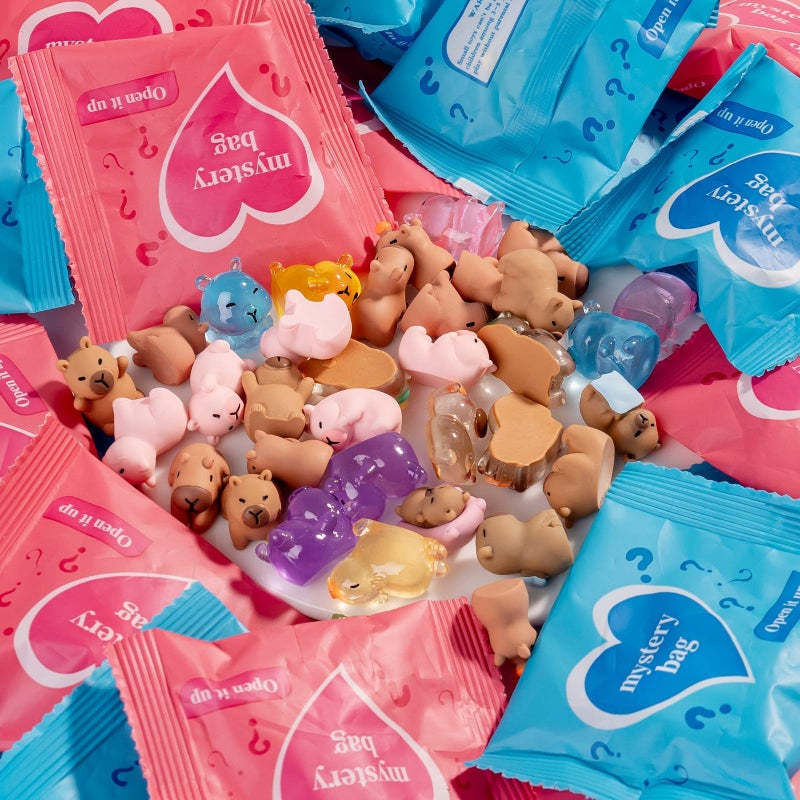 Nerfcareani 50Pcs Mystery Bag Mini Resin Capybara Figurines Individually Packaged Blind Bags Cute Collectible Resin for Fairy Garden Accessories, Random Design - Image 2