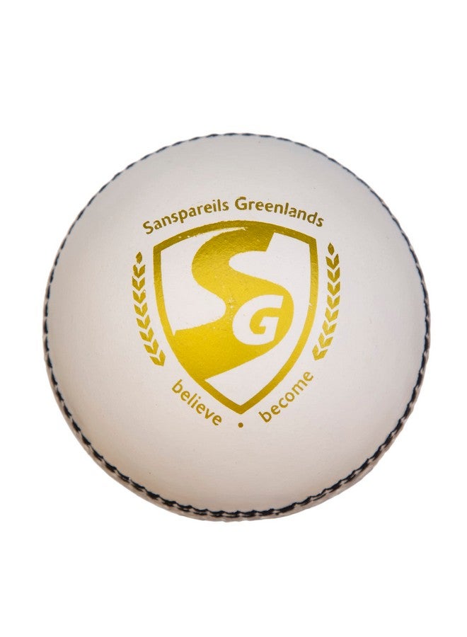 SG Leather Cricket Balls Shield 20 (White) - Image 3