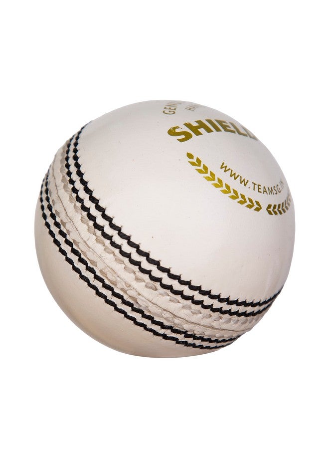 SG Leather Cricket Balls Shield 20 (White) - Image 4