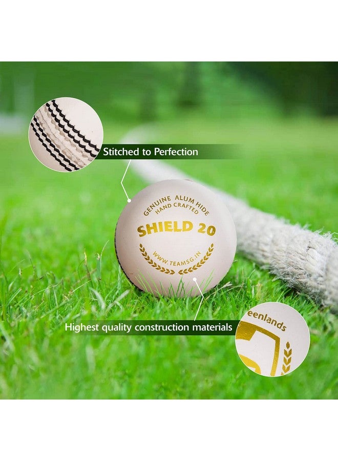 SG Leather Cricket Balls Shield 20 (White) - Image 5