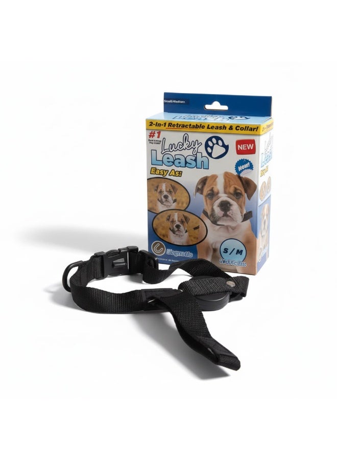 2-in-1 Retractable Leash & Collar - Integrated Magnetic Design - For Small and Medium Dogs - Image 1