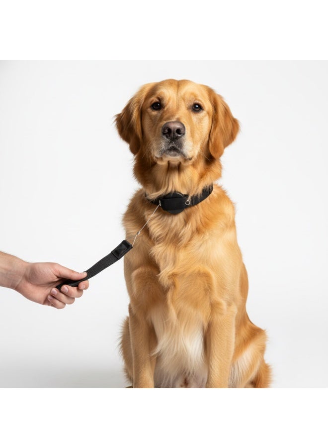 2-in-1 Retractable Leash & Collar - Integrated Magnetic Design - For Small and Medium Dogs - Image 3