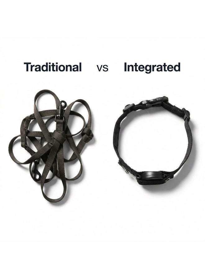 2-in-1 Retractable Leash & Collar - Integrated Magnetic Design - For Small and Medium Dogs - Image 5