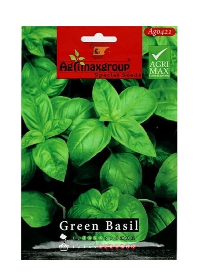 أجريماكس بذور الريحان الأخضر عالية الجودة من Agrimaxgroup® - Image 1