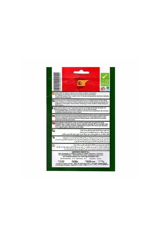 أجريماكس بذور الريحان الأخضر عالية الجودة من Agrimaxgroup® - Image 2