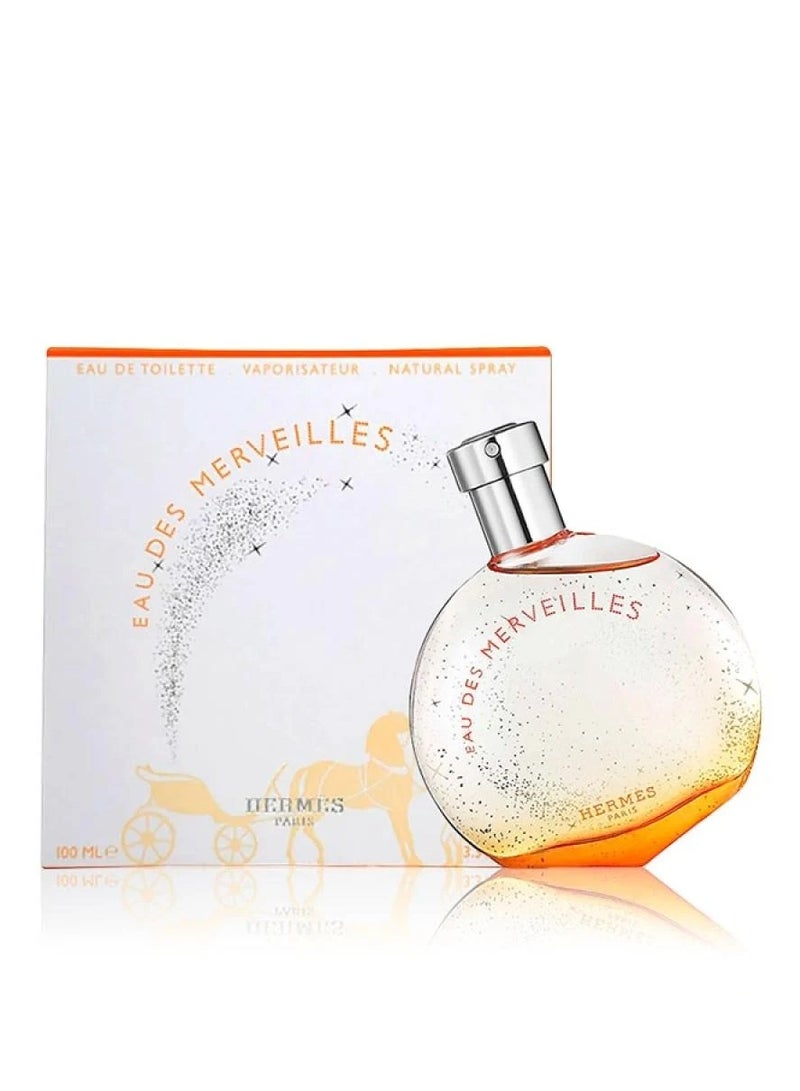 Hermes Eau des Merveilles Eau de Toilette 100ml - Image 1