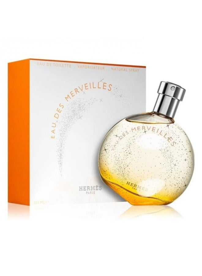 Hermes Eau des Merveilles Eau de Toilette 100ml - Image 4