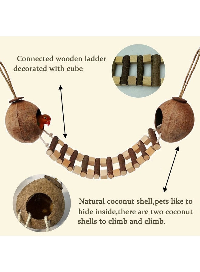 Hamiledyi Coconut Bird Nest Hut With Ladder Hanging Birds Hide House Toy For Cage Natural Coco Shell Hideaway For Parakeet Lovebirds Finch Syrian Hamster Gecko Squirrel Climbing - Image 5