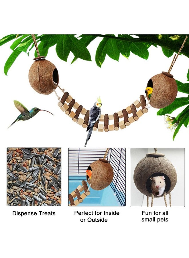Hamiledyi Coconut Bird Nest Hut With Ladder Hanging Birds Hide House Toy For Cage Natural Coco Shell Hideaway For Parakeet Lovebirds Finch Syrian Hamster Gecko Squirrel Climbing - Image 4