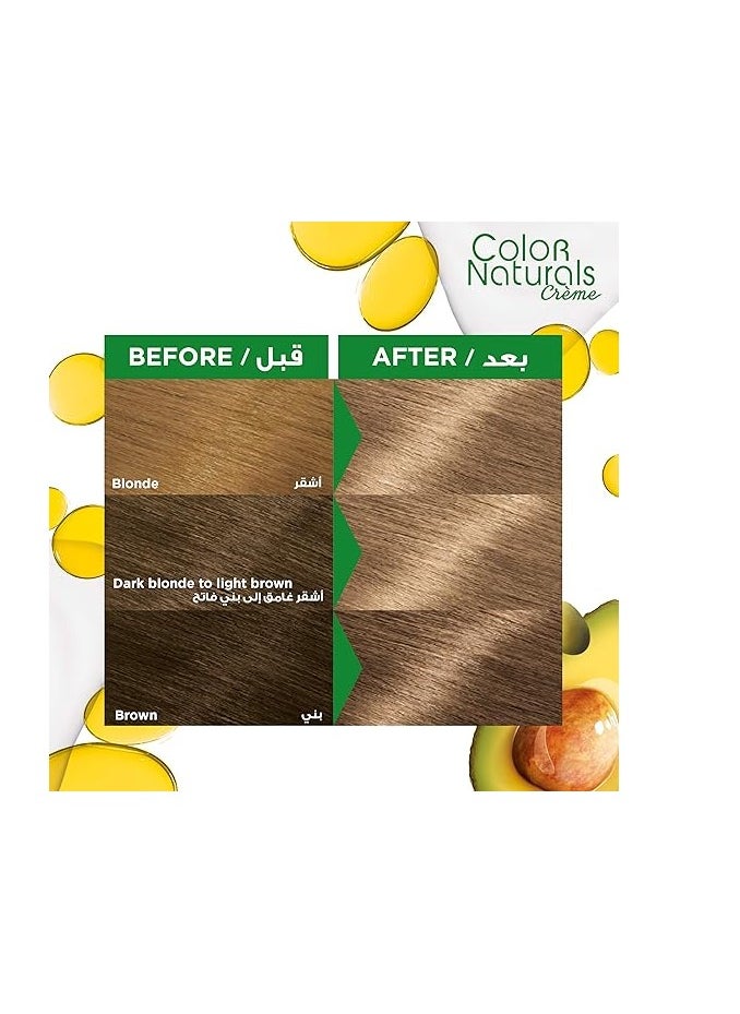 Garnier Garnier Color Naturals Creme Hair Color, 7.1 Ash Blonde  - 112 ML  - Image 2