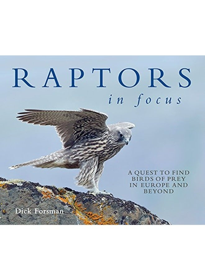 Raptors In Focus
