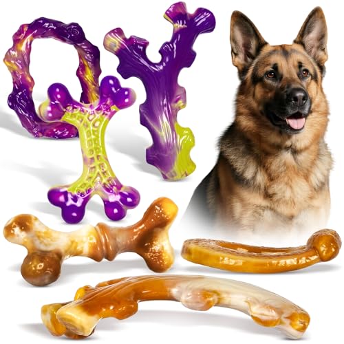 Frienhund 6 Pack Indestructible Dog Toys for Aggressive Chewers Durable Nylon Bone for Large Dogs Dog Toy for Aggressive Chewer Large Breed A Mixed Special Edition Set - Image 1