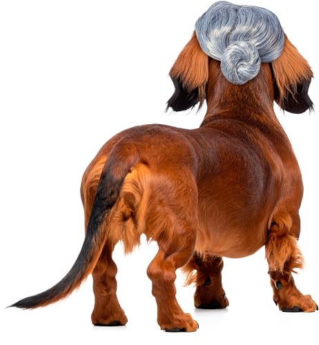 Rubies Old Lady Pet Wig for Dogs or Cats MediumLarge - Image 3