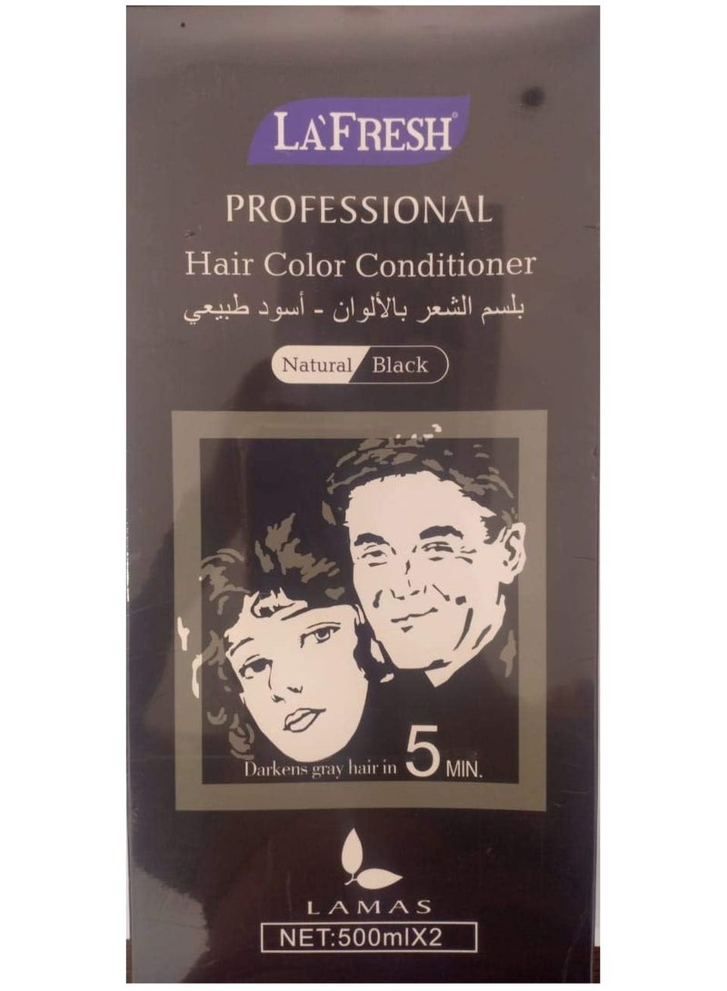 Professional Hair Color Conditioner Natural Black 2X500 ml