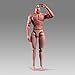 SOUFORCE 16 Scale Muscle Male Body 12in Flexible Muscle Male Action Figure Doll Miniature Figure Without Head Sculpt - Image 4