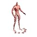 SOUFORCE 16 Scale Muscle Male Body 12in Flexible Muscle Male Action Figure Doll Miniature Figure Without Head Sculpt - Image 2