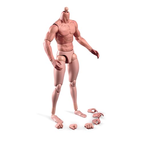 SOUFORCE 16 Scale Muscle Male Body 12in Flexible Muscle Male Action Figure Doll Miniature Figure Without Head Sculpt - Image 1