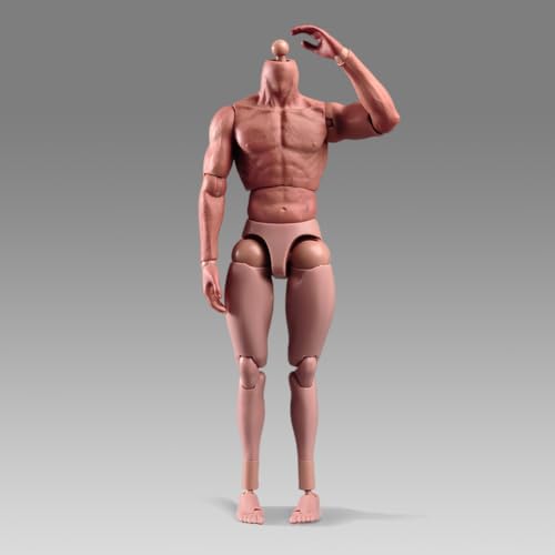 SOUFORCE 16 Scale Muscle Male Body 12in Flexible Muscle Male Action Figure Doll Miniature Figure Without Head Sculpt - Image 5