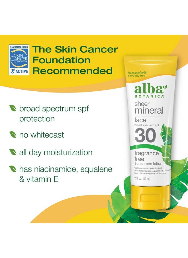 Alba Botanica Sunscreen For Face Fragrancefree Sheer Mineral Face Sunscreen Lotion Broad Spectrum Spf 30 Water Resistant And Biodegradable 2 Fl. Oz. Bottle  - Image 2