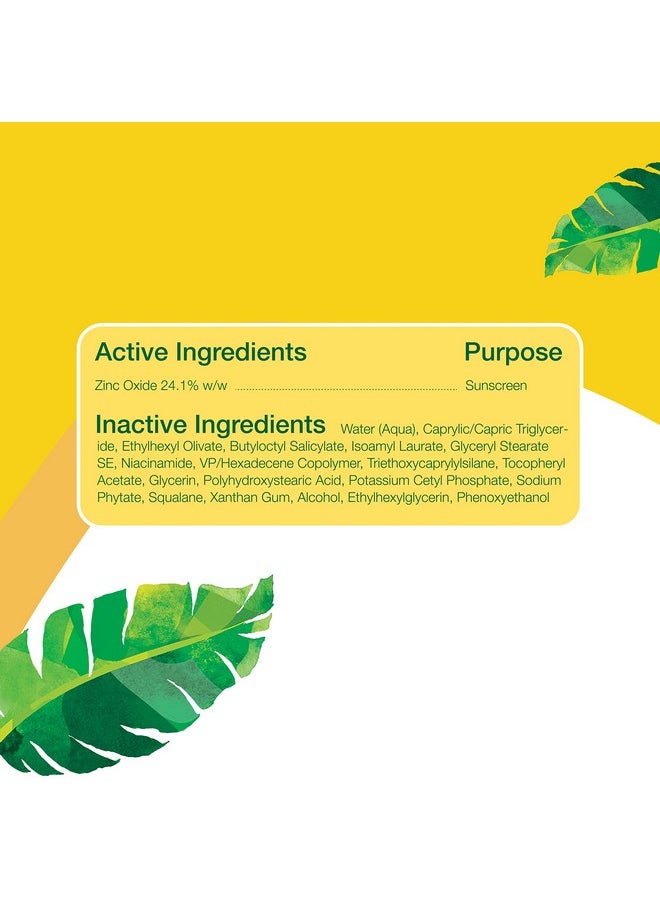 Alba Botanica Sunscreen For Face Fragrancefree Sheer Mineral Face Sunscreen Lotion Broad Spectrum Spf 30 Water Resistant And Biodegradable 2 Fl. Oz. Bottle  - Image 4