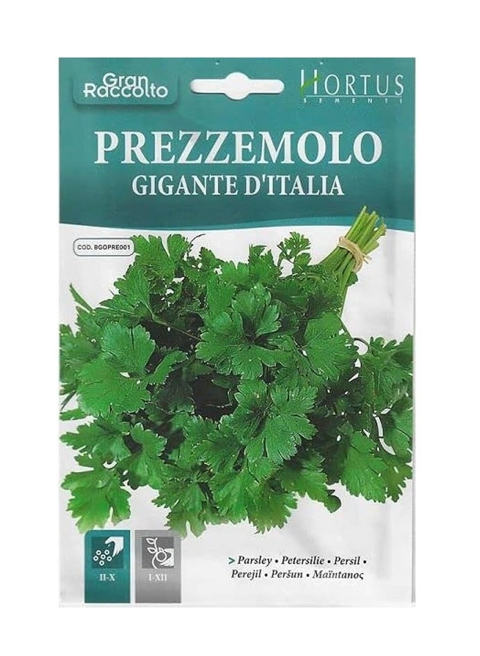Generic Parsley Premium Quality Seeds (Prezzemolo Gigante D’ Italia) (Made in Italy) by Hortus"Garden Care" 