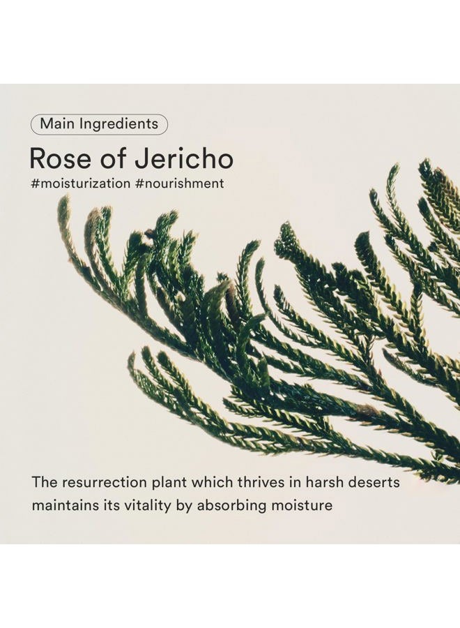 abib سيروم جيريشو روز بيفيدا لشد البشرة، ينعم البشرة ذات الملمس، يوحد لون البشرة - Image 3