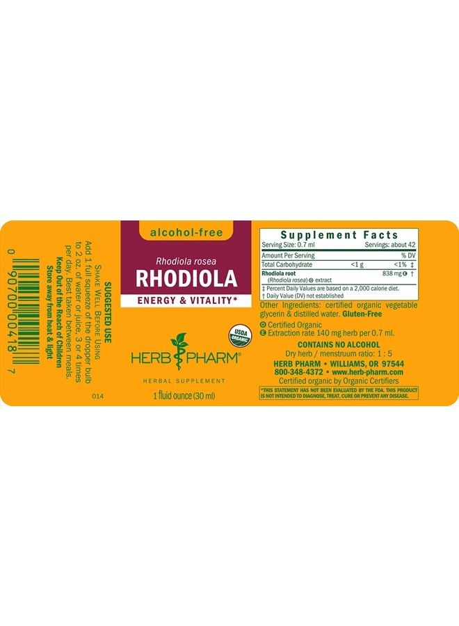 HERB PHARM مستخلص جذر الروديولا العضوي المعتمد للطاقة والقدرة على التحمل والقدرة البدنية، خالي من الكحول، 1 أونصة - Image 2