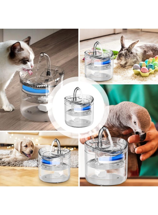 Transparent Cat Water Fountain – Smart Automatic Drinking Dispenser with Ultra-Quiet Pump - Image 2