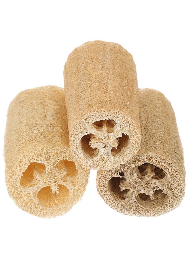 POPETPOP Bunny Chew Toys 3Pcs Hamster Chew Toys Natural Loofah Hamster Gnawing Treats Teeth Grinding Toys for Gerbil Rat Guinea Pig Chinchilla 10CM Rabbit Toys Loofah - Image 1