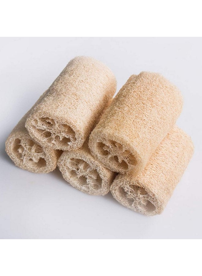 POPETPOP Bunny Chew Toys 3Pcs Hamster Chew Toys Natural Loofah Hamster Gnawing Treats Teeth Grinding Toys for Gerbil Rat Guinea Pig Chinchilla 10CM Rabbit Toys Loofah - Image 2