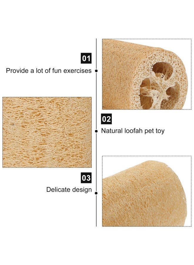 POPETPOP Bunny Chew Toys 3Pcs Hamster Chew Toys Natural Loofah Hamster Gnawing Treats Teeth Grinding Toys for Gerbil Rat Guinea Pig Chinchilla 10CM Rabbit Toys Loofah - Image 4