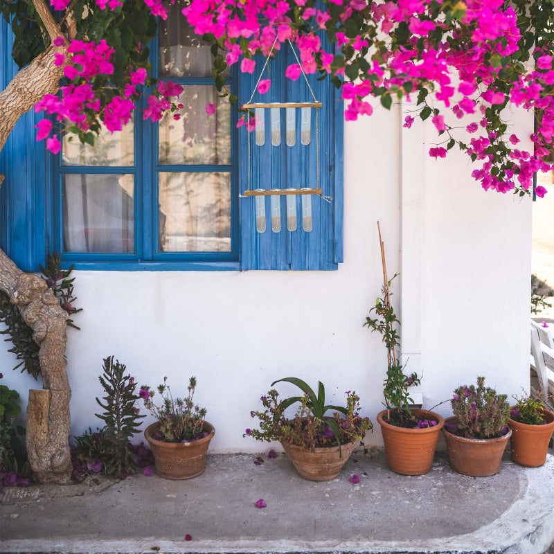 🏠 مزهرية أنابيب اختبار للزراعة المائية معلقة على الحائط موفرة للمساحة - Image 5
