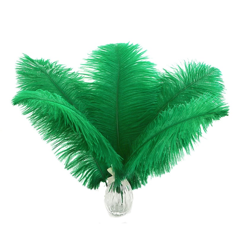 Ballinger Green Ostrich Feathers Bulk  24pcs 1012inch Feathers for Vase Wedding Party Centerpieces Mardi Gras Decorations and Home Decor