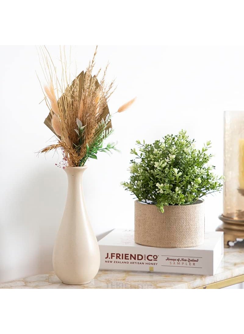 Five Star FiveStar Flower Vase for Living Room - Vases for Home Decor - Ceramic Pots for Home Decoration, Table Pot, Matte Finish, Off-White Color, 1 Piece  - Image 1