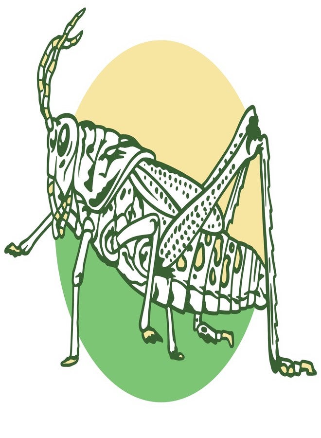 VulgrCo Green Grasshopper Line Art Animal Funny Sticker Vinyl Waterproof UV Resistant Decal for Phones Laptops Water Bottles Tumblers Boats Cars Trucks Windows Kayak 3" inch Bumper Stickers - Image 1