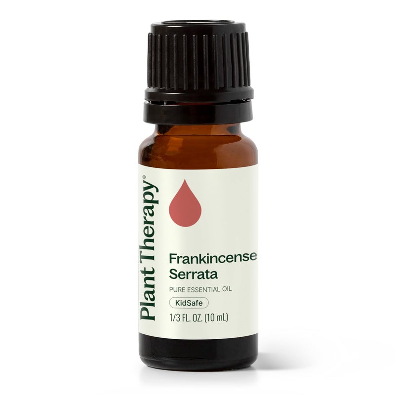 Plant Therapy Frankincense Serrata Essential Oils 100% Pure, Undiluted, Natural Aromatherapy, Frankincense Oil for Diffuser, Skin, Massage, & Joint Health, Therapeutic Grade 10 mL (1/3 oz) - Image 1